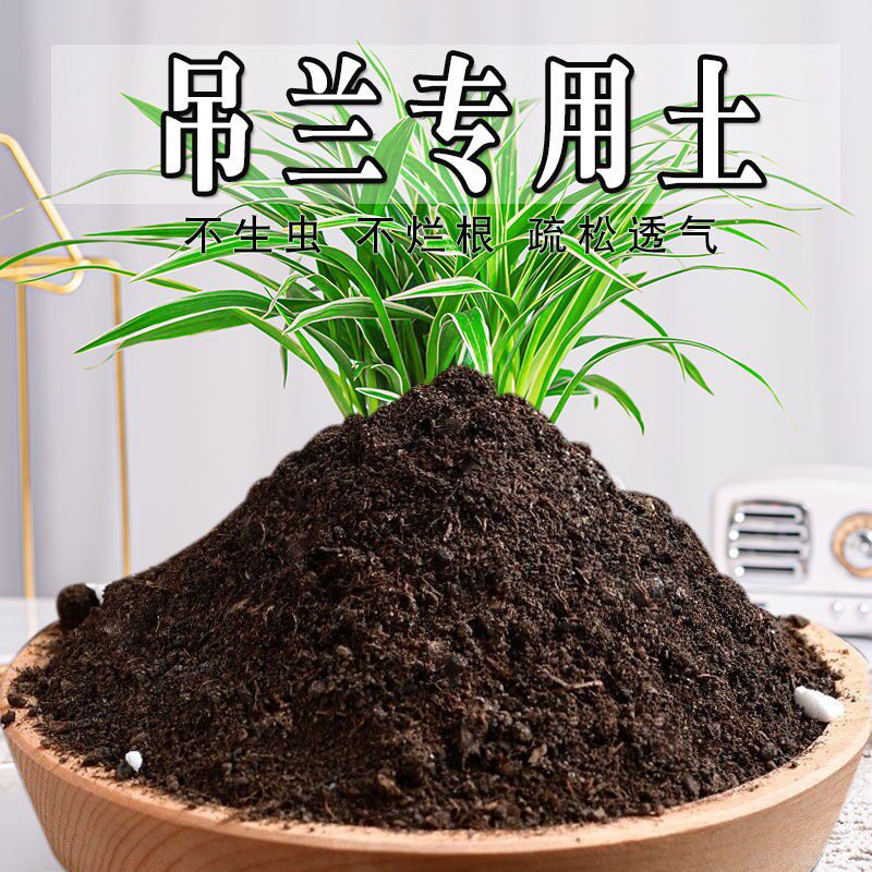 吊兰专用土吊兰专用营养土盆栽土养花种花土通用种植土壤有机肥料