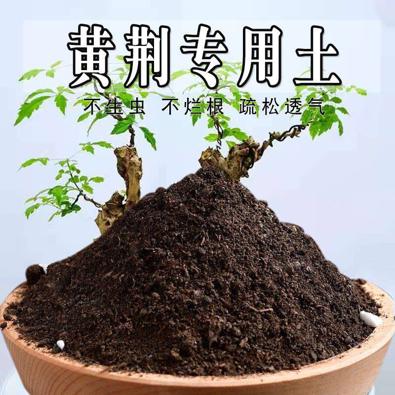 黄荆专用土黄荆专用营养土盆栽盆景养花种花土通用型种植土壤肥料
