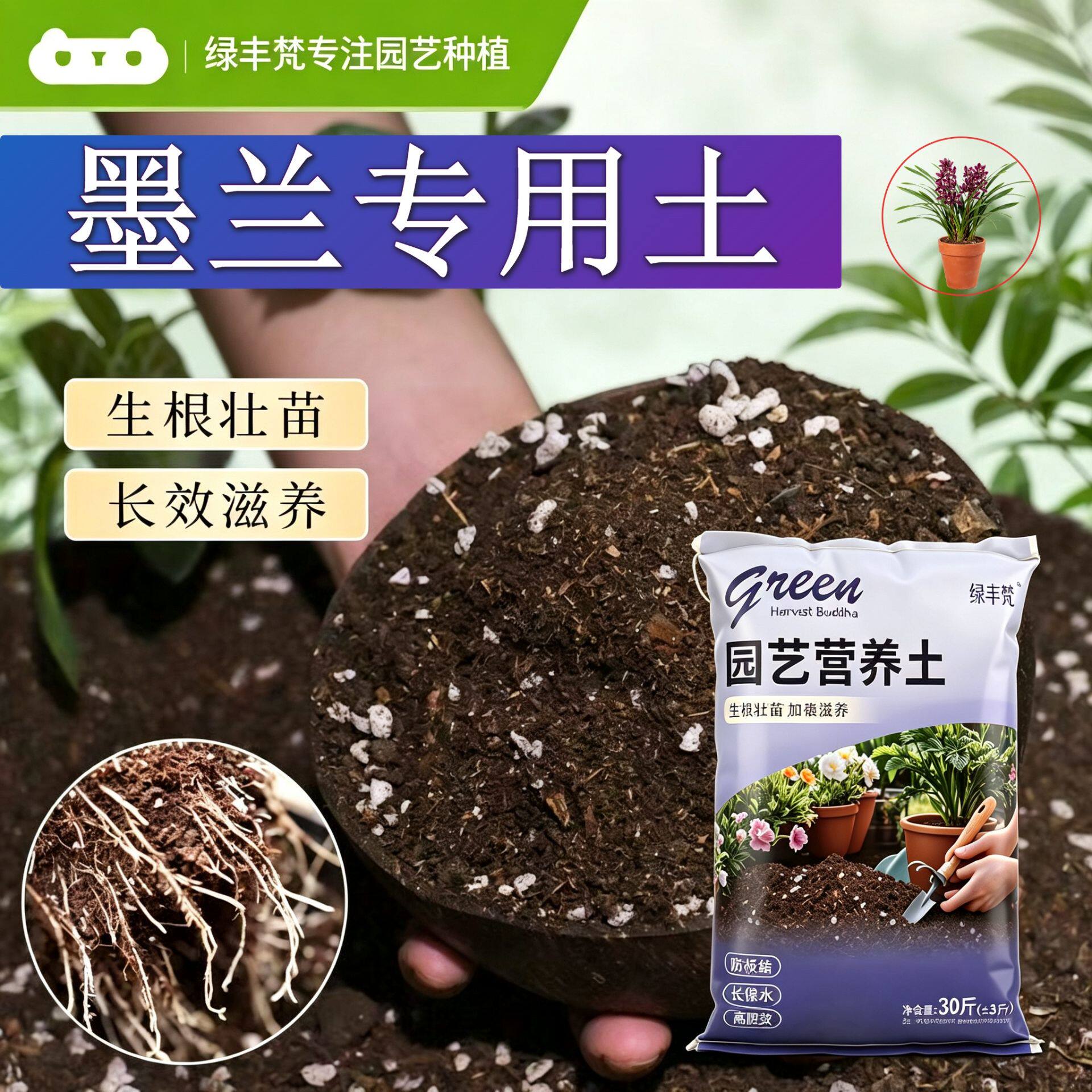 墨兰适用进口泥炭土不烂根家庭园艺加牛粪无菌壮根球根盆景土基质