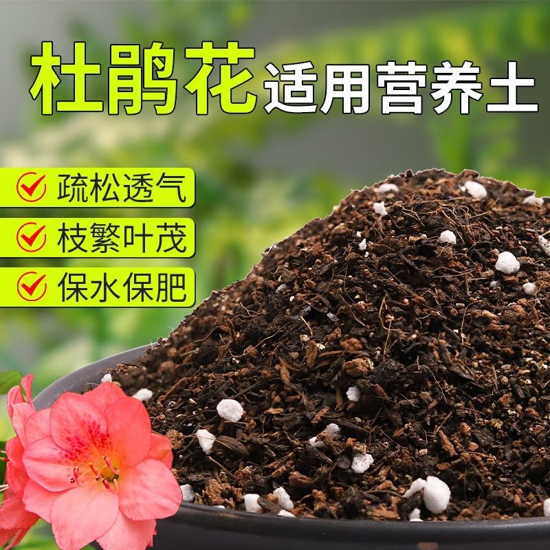 【杜鹃花专用土】疏松透气盆栽绿植专用室内植物有机营养土肥料
