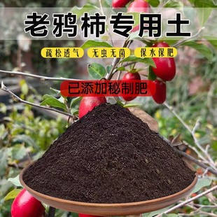 老鸦柿专用土育苗土有机土栽培土阳台养花土老鸦柿专用营养土泥土