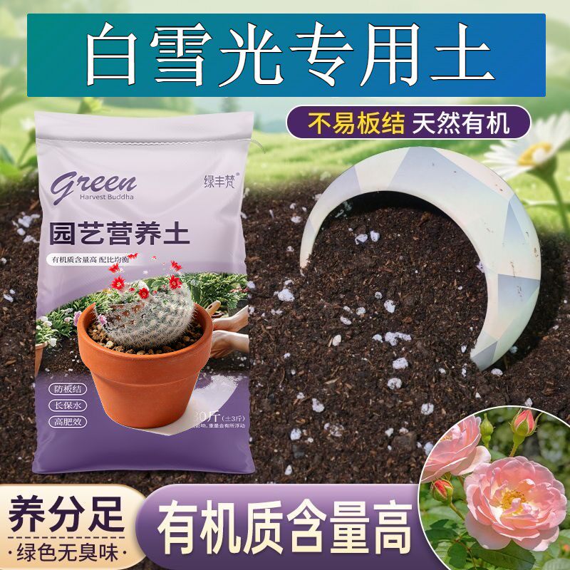 白雪光专用进口泥炭土不烂根花园加深生根粉有机绿叶木本室内盆栽