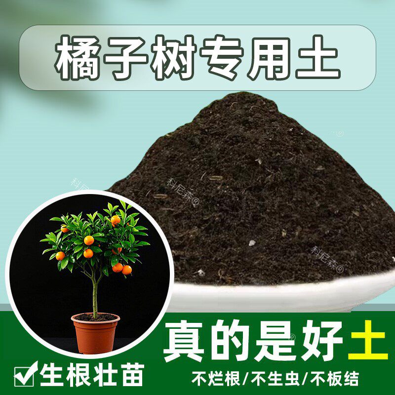 橘子树专用土盆栽土有机土果苗农业肥料土桔子树专用营养土果树