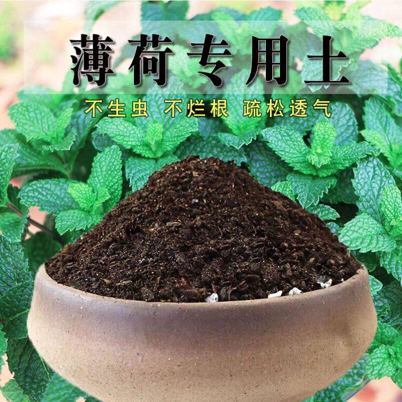 薄荷盆栽专用土营养土家用酸性沙质土壤种植土通用绿植花泥土肥料