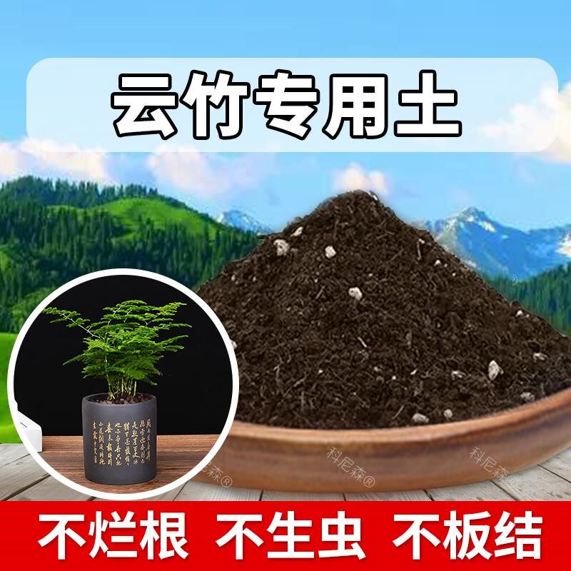 云竹专用土肥料天然有机土绿植椰砖园艺云竹营养土蓬松阳台花盆土