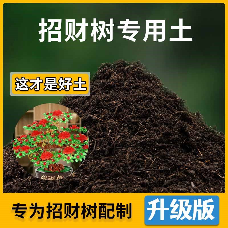 招财树专用土家用种植土壤招财树营养土家庭盆栽种花养花有机土