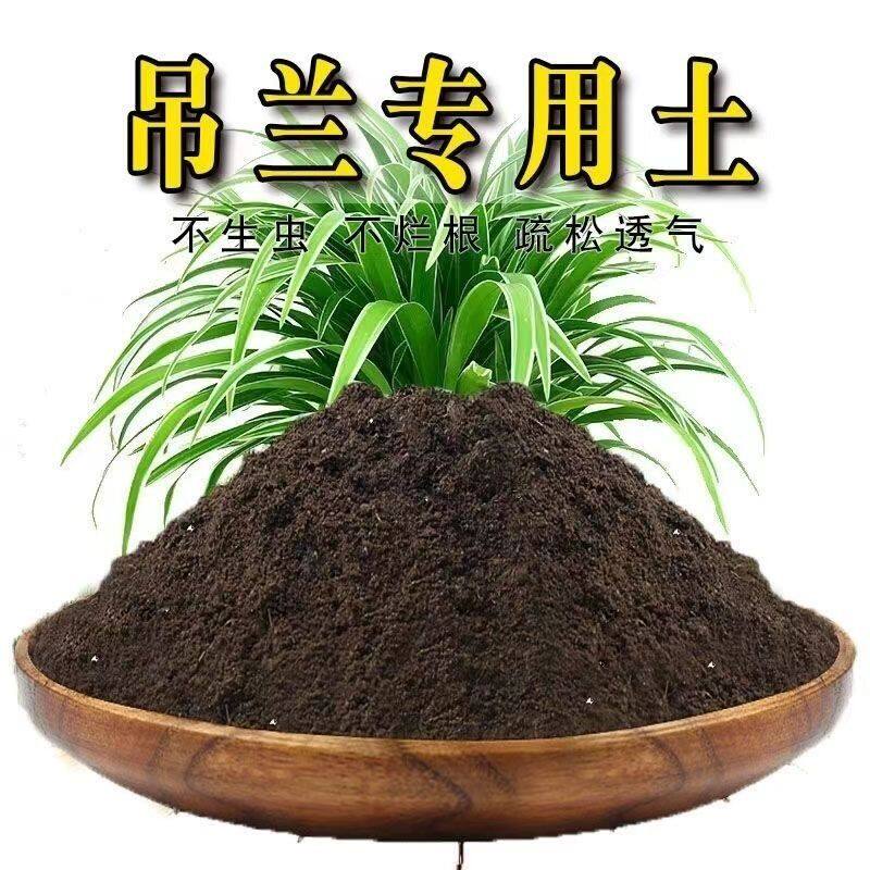 吊兰种植土壤专用营养土盆栽土种花养花土多肉育苗土君子兰花土壤