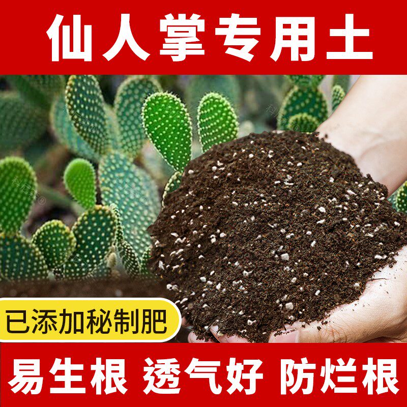仙人掌专用营养土阳台盆栽草莓种植有机土壤通用型草莓营养土壤