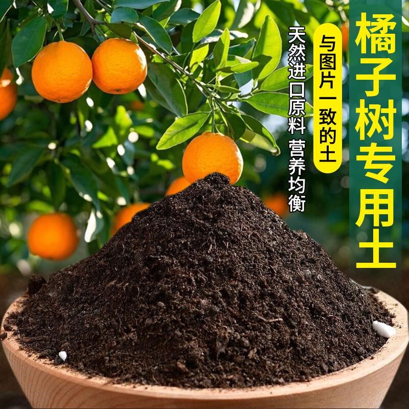 橘子树专用土果苗水果室内家庭土壤有机土家用泥土盆栽专用土种植