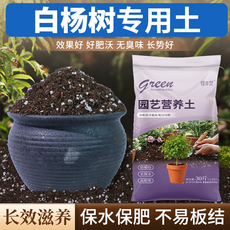 白杨树专用泥炭土不板结室内包邮进口防徒长多肉栽培土有机促生长