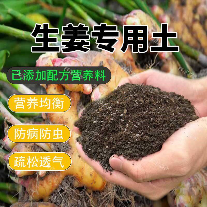 生姜专用土种菜专用营养土通用型生姜蔬菜土阳台盆栽有机种植泥土
