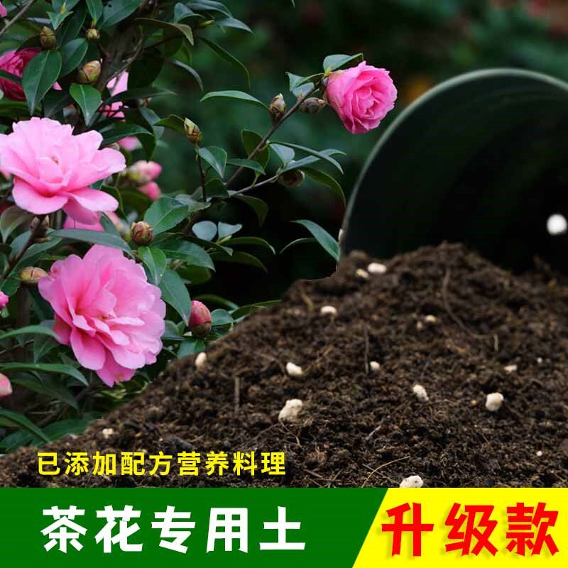种茶花专用土花土山茶花营养土盆栽专用土壤泥土种花土肥料专用肥