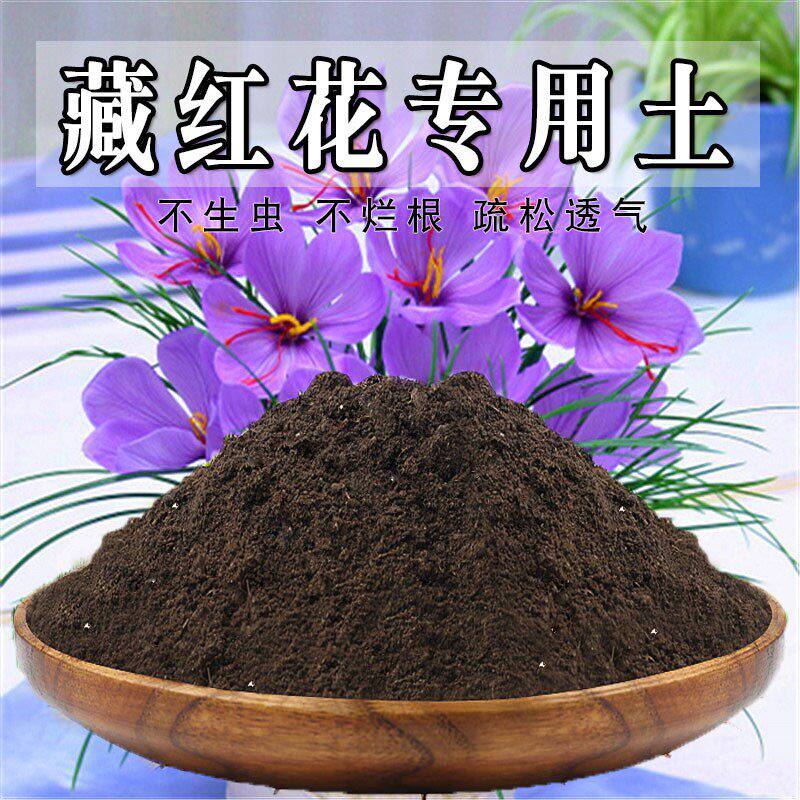 藏红花专用土藏红花土番红花盆栽营养土壤种花养花土种植土有机肥