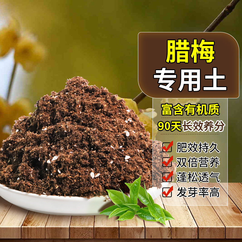 腊梅专用颗粒植料无刺鼻气味阳台款严苛选料增色开袋即用叶姿飘逸