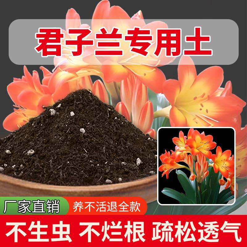 君子兰专用土室内养花专用土种花土花草种植土花盆有机土栽培土