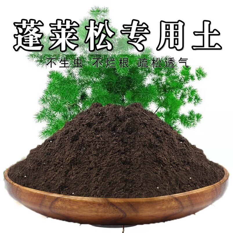 蓬莱松专用土松叶文竹盆栽营养土室内绿植花卉通用型有机土肥料