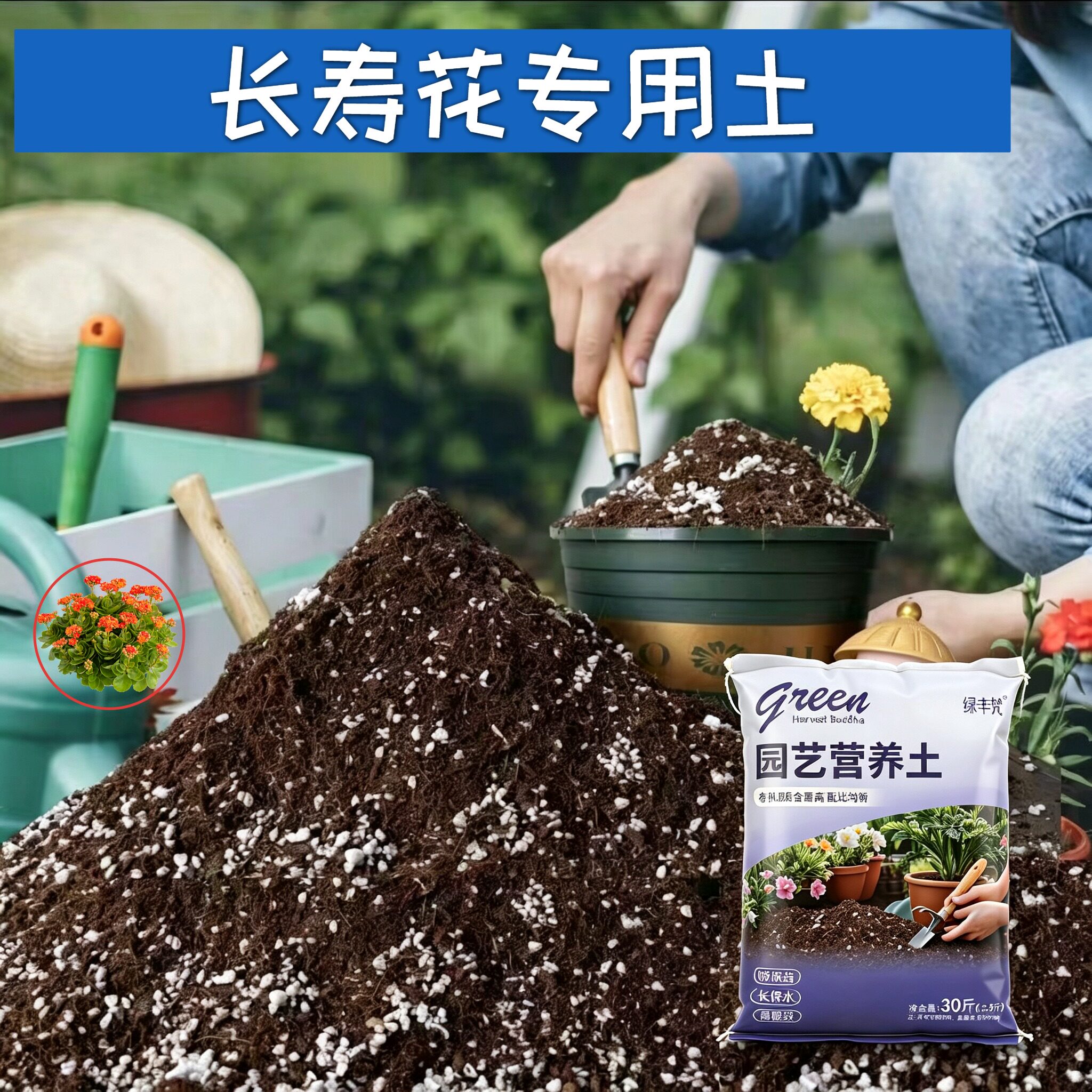 长寿花专用营养土腐殖泥炭土加珍珠岩盆景包邮有机防徒长多肉适用