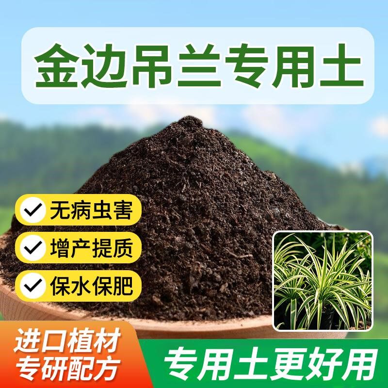 金边吊兰专用土金边吊兰专用营养土种花通用型花肥疏松种植园艺