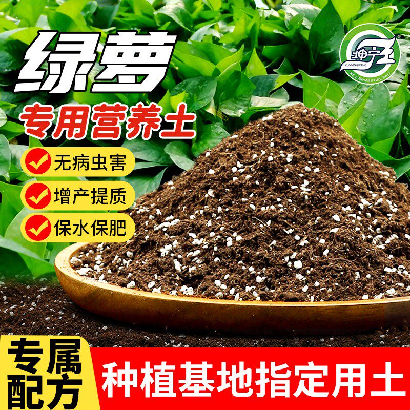 养绿萝土专用营养土土壤肥料家用种花土植物肥料泥土种植土植物土