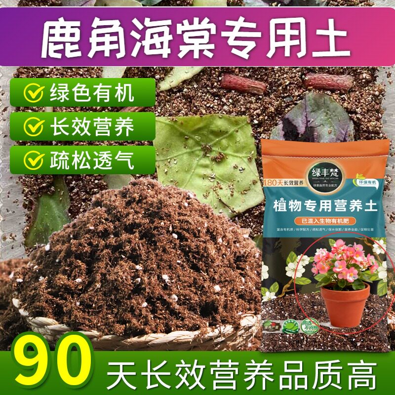 鹿角海棠适用花泥不板结家庭种植土原料甄选绿叶实惠装木本配方土