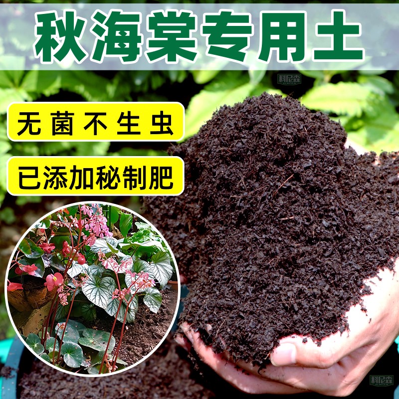 秋海棠专用土种花营养土家用盆栽花卉肥料土养花植物通用有机花土