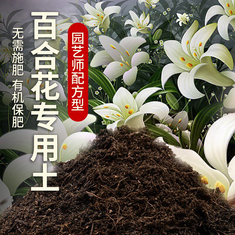 百合专用泥炭土促开花盆栽园艺营养土优质观花球根不烧根不烧苗