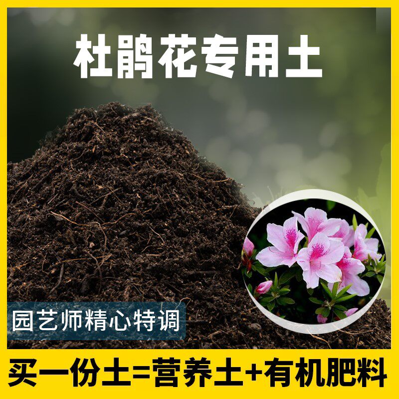 杜鹃花通用盆景土泥炭土根壮苗好不闷根室内加深生根粉轻质土大包