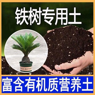铁树专用土铁树专用营养土盆栽透气通用种植土有机肥料养花种花土