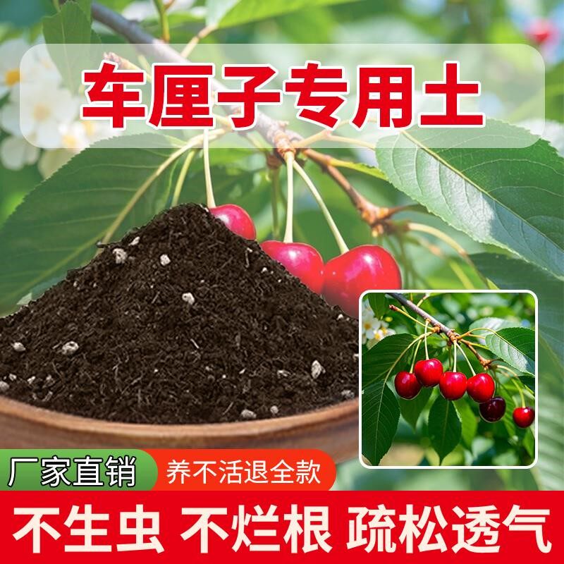 车厘子专用土盆栽植物花园有机土花草养花专用土种花土种植透气
