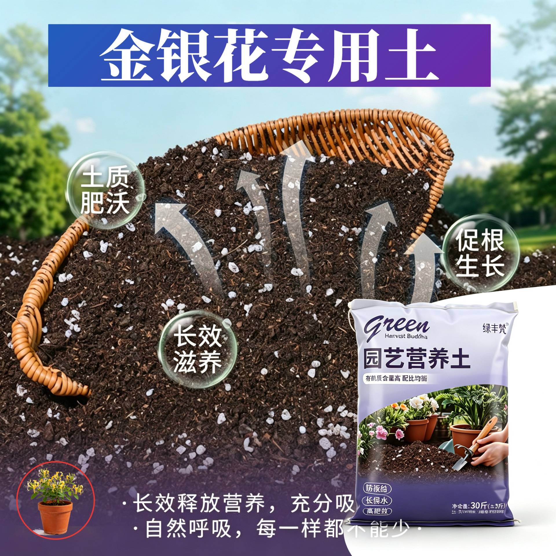 金银花适用进口泥炭土不闷根根壮苗好盆栽加牛粪优质增色喜酸阳台