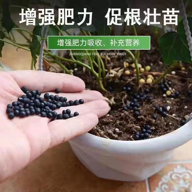 黑莓适用肥有机肥不烧苗叶片肥厚阳台室内追肥根系发达平衡肥园艺