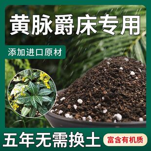 【不生虫】黄脉爵床适用土疏松透气盆栽绿植专用土室内植物营养土