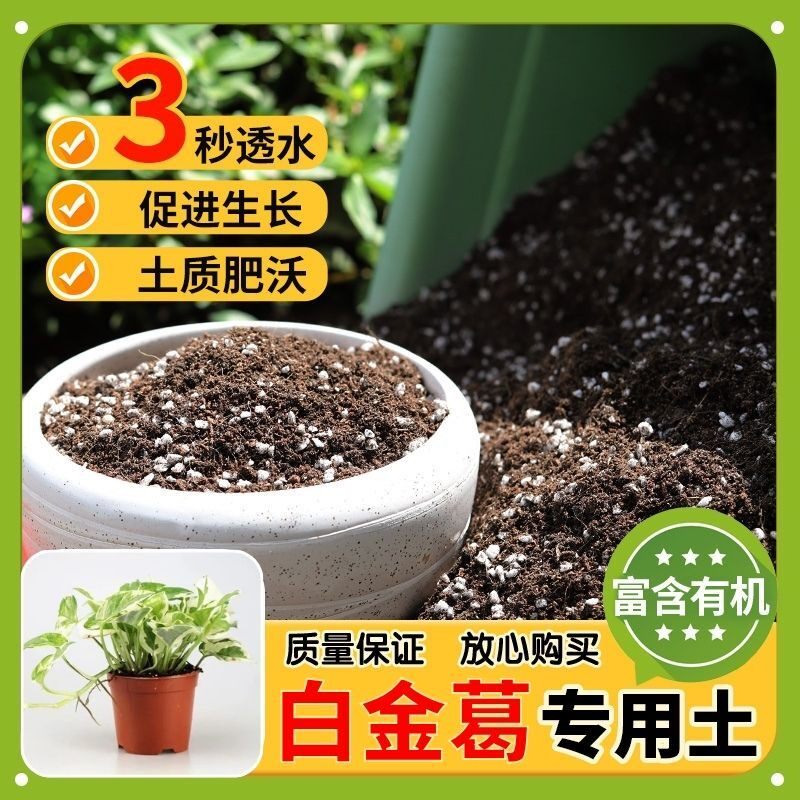 【白金葛专用土】家用盆栽土加生根粉绿植专用有机植物营养肥料土