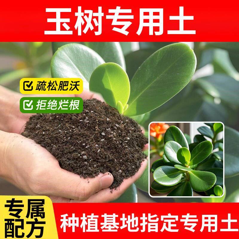 玉树专用土种花花园植物种植玉树专用营养土蓬松透气椰砖花土室内