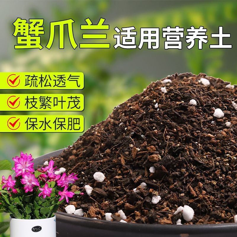 【蟹爪兰专用土】疏松透气盆栽绿植专用室内植物有机营养土肥料
