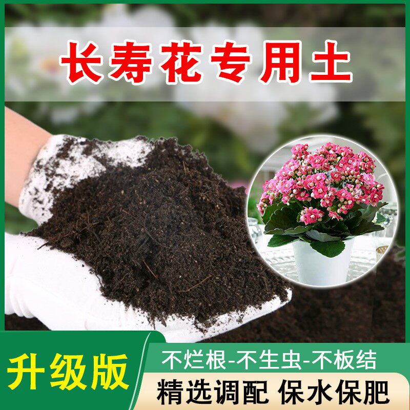 长寿花专用土花土营养土栽培土种养长寿花土壤肥料泥土盆栽种植土