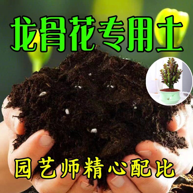【龙骨花专用土】营养土家庭盆栽绿植室内植物肥料种植土