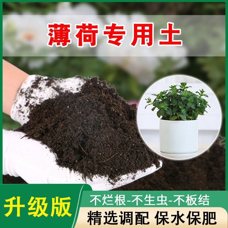 薄荷专用土营养土薄荷专用肥料盆栽土壤含羞草花泥土有机种植土壤