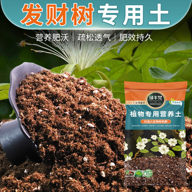 发财树适用轻质有机土富含有机质地栽盆栽土精选壮根大包装球根