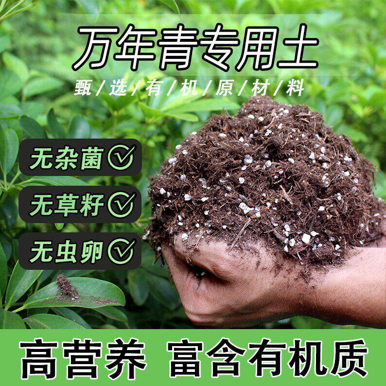 万年青专用土家用盆栽绿植通用营养土养花轻质蓬松有机花泥肥料土