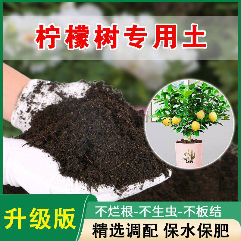柠檬树专用土香水柠檬营养土盆栽土壤果树土泥土肥料专用肥种植土