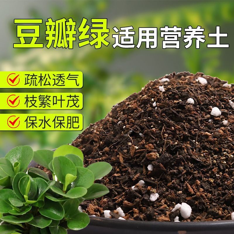【豆瓣绿专用土】疏松透气盆栽绿植专用室内植物有机营养土肥料
