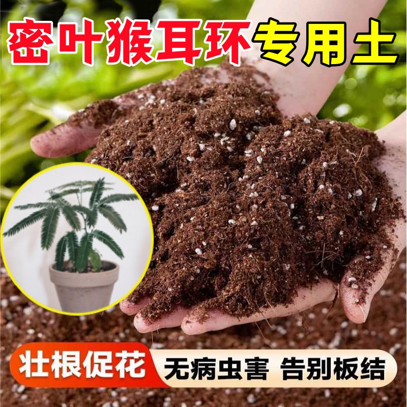 密叶猴耳环专用营养土轻质基质土保水保肥疏松透气盆栽土精选球根
