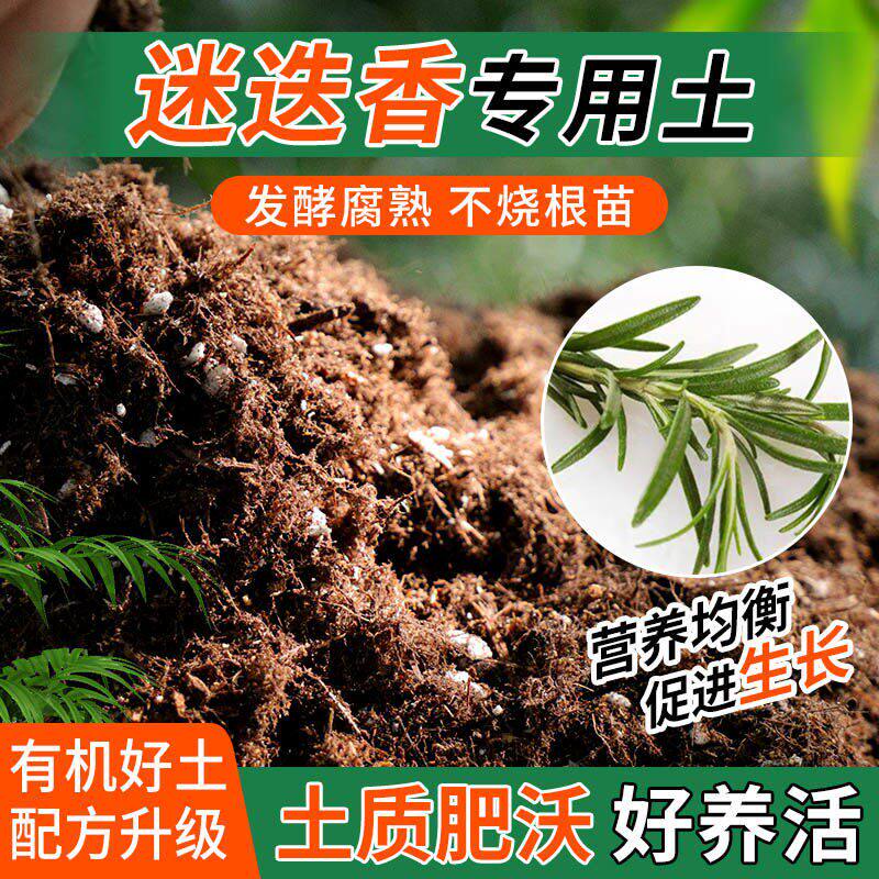 迷迭香专用土种植士营养土家庭阳台养花盆栽绿植轻质有机肥料土壤