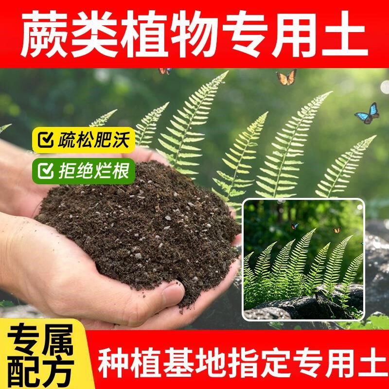 蕨类植物专用土蕨类植物专用营养土绿植种花种植土家庭园艺种花土