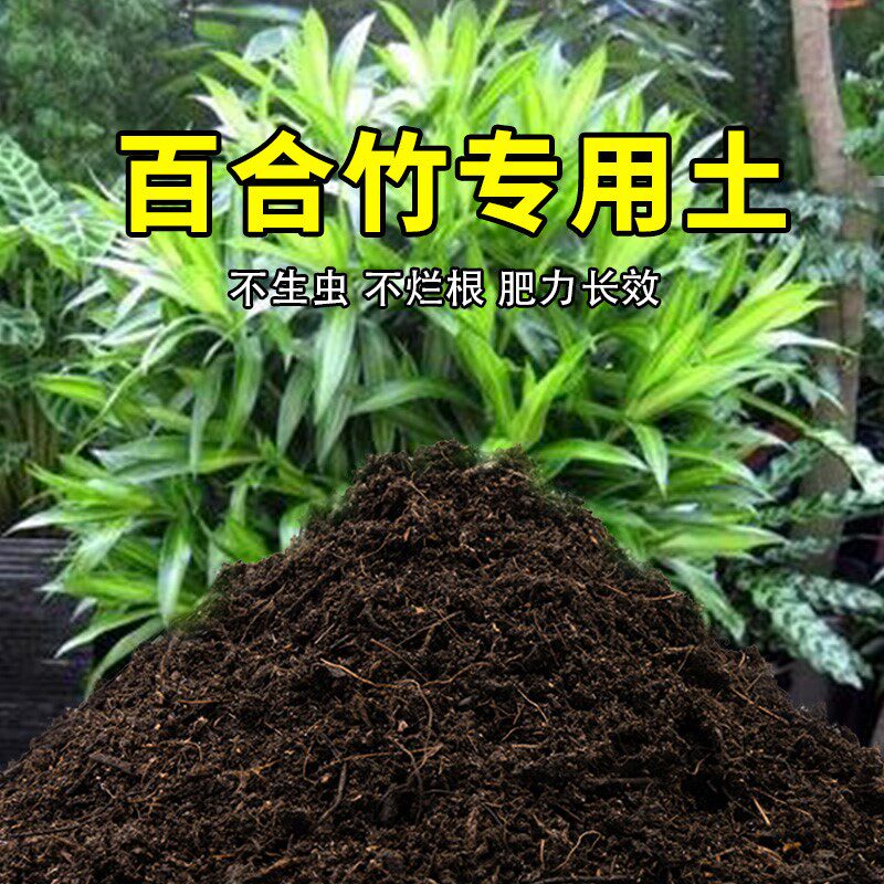 百合竹专用土家用养花有机土壤种植土肥料种花盆栽土百合竹营养土图片