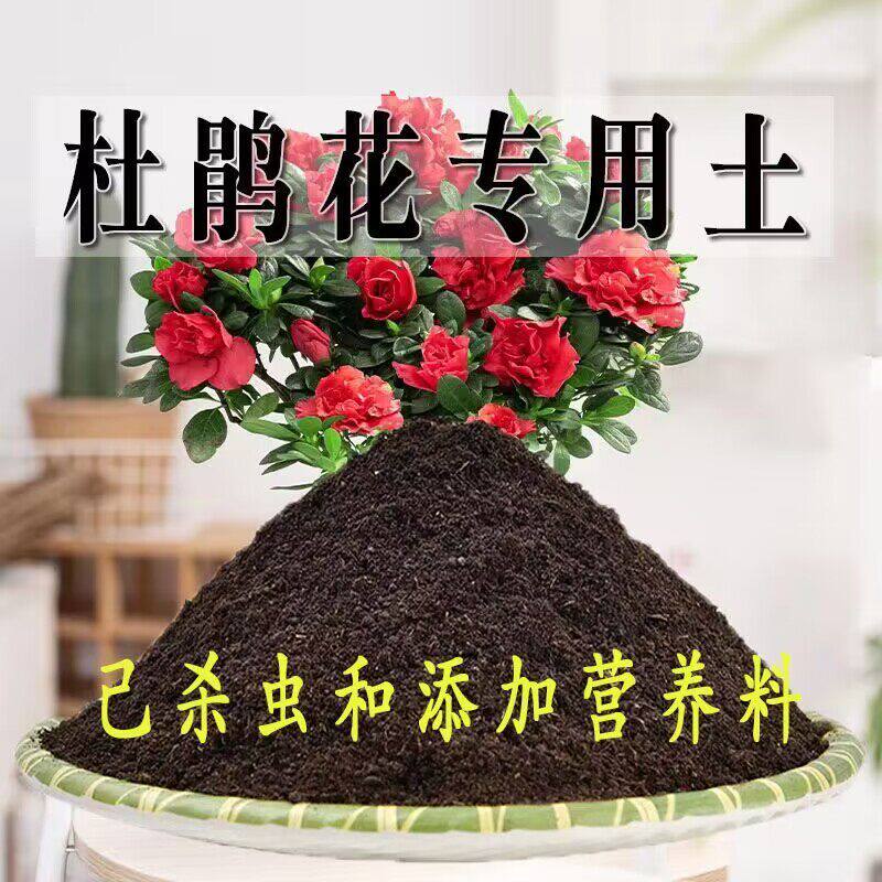 杜鹃花专用土盆栽养花杜鹃花营养土通用种花种植土壤有机肥料土培