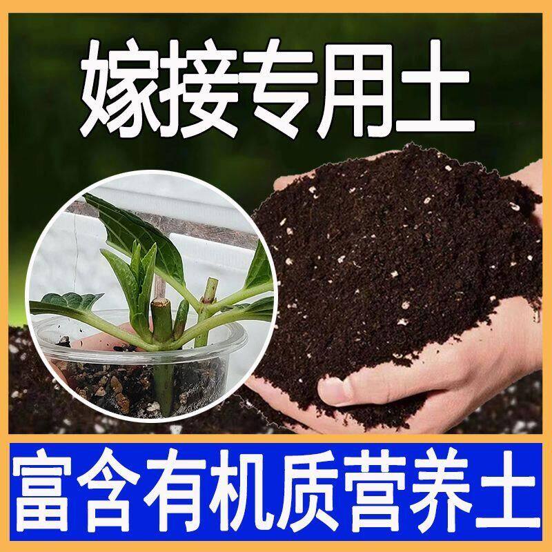 扦插专用土花苗培植土通用型营养土嫁接树苗弱酸性土腐叶土腐殖土