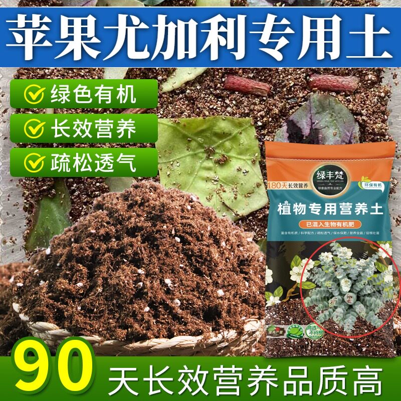 苹果尤加利专用土壤养分持久营养土细腻均匀缓冲肥效家用装球根