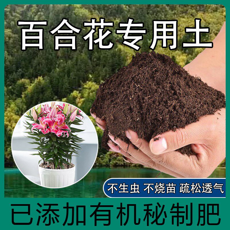 百合花专用土肥料营养土家用盆栽肥料种植土养花植物通用有机土壤